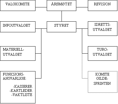 organisasjonsplan o-gruppa